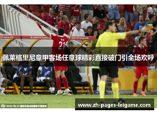 佩莱格里尼意甲客场任意球精彩直接破门引全场欢呼