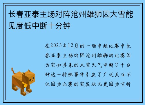 长春亚泰主场对阵沧州雄狮因大雪能见度低中断十分钟